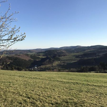 Villa Glühalm Willingen Willingen  Exterior foto