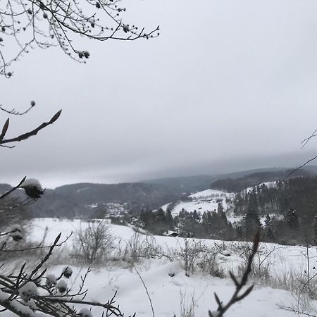 Villa Glühalm Willingen Willingen  Exterior foto