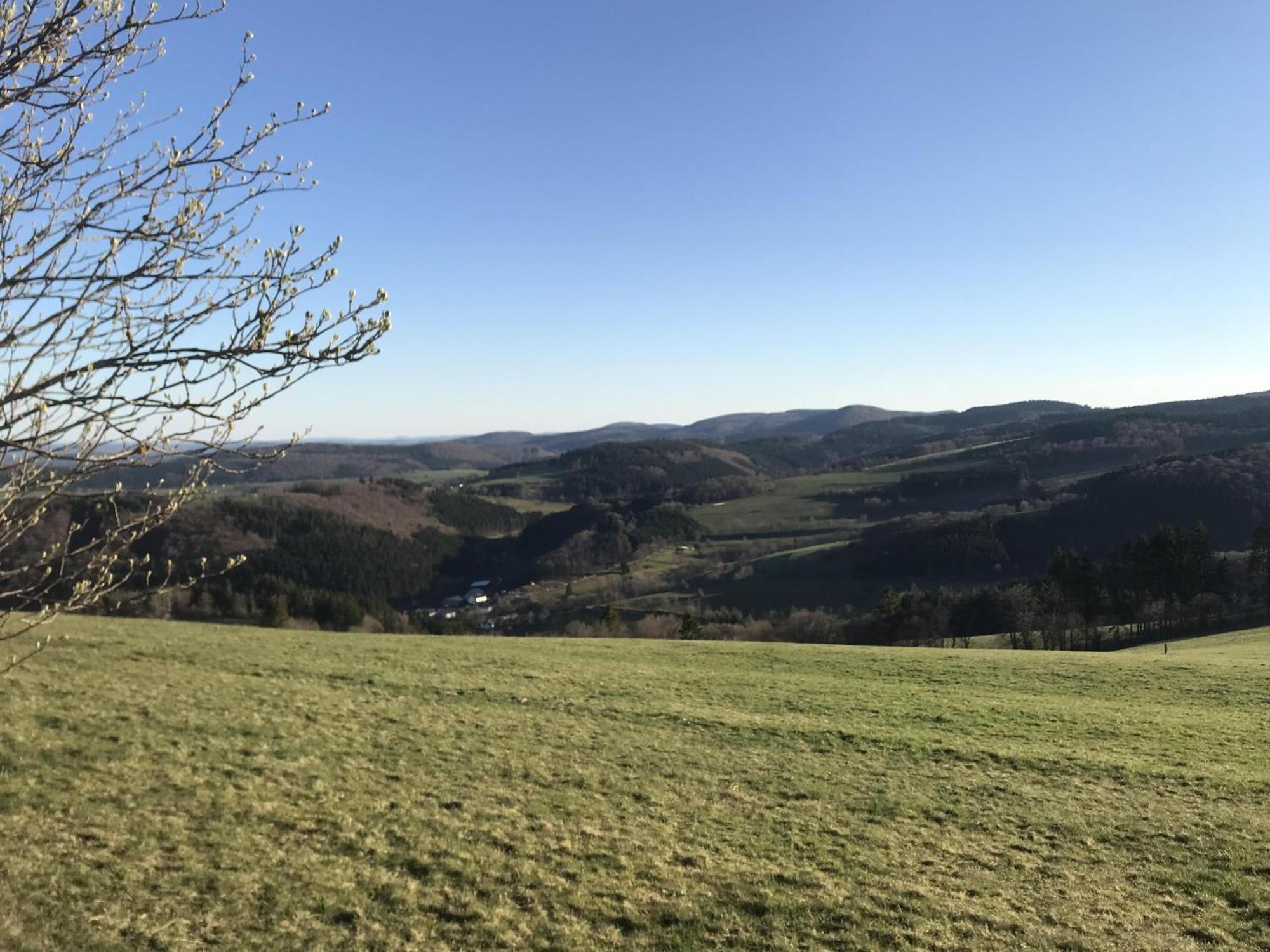 Villa Glühalm Willingen Willingen  Exterior foto